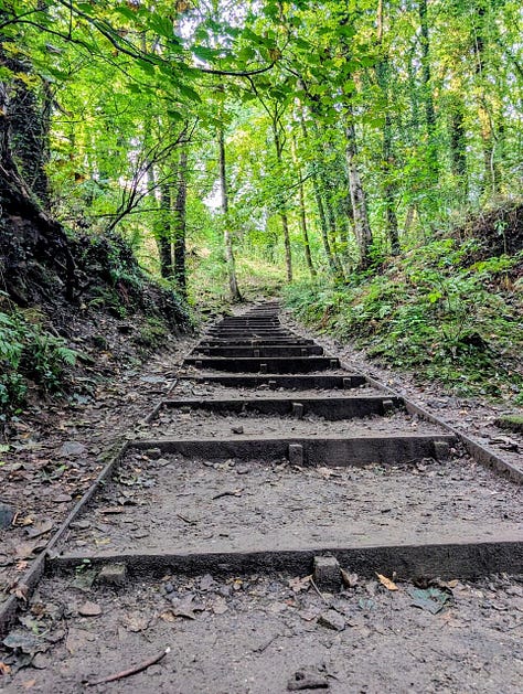 Chalkland path, boardwalk, stepped path
