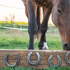 Politics of the Horseshoe