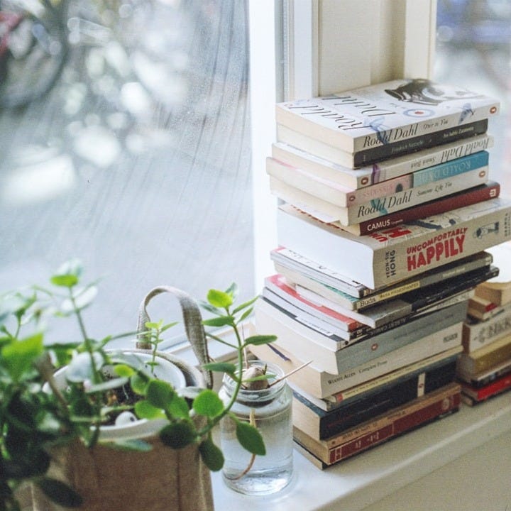 assorted-title book lot beside window