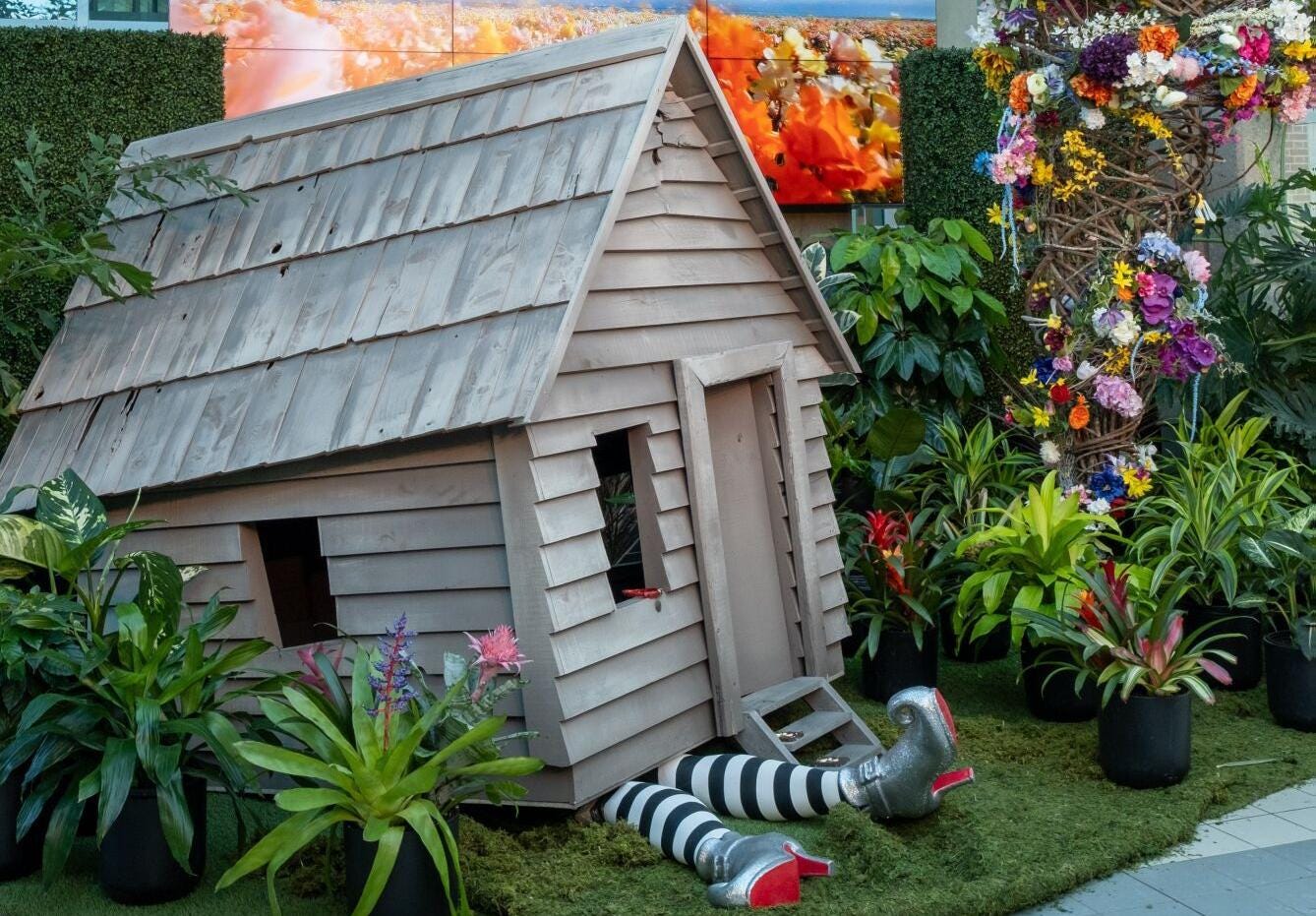Striped socks and fancy shoes stick out from under a small wooden house in a garden display