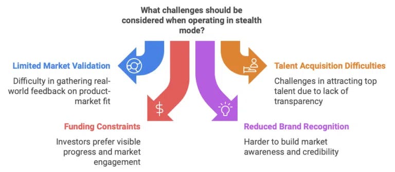 Challenges faced by stealth startups, including funding hurdles and limited feedback. Challenges faced by stealth startups, including funding hurdles and limited feedback.