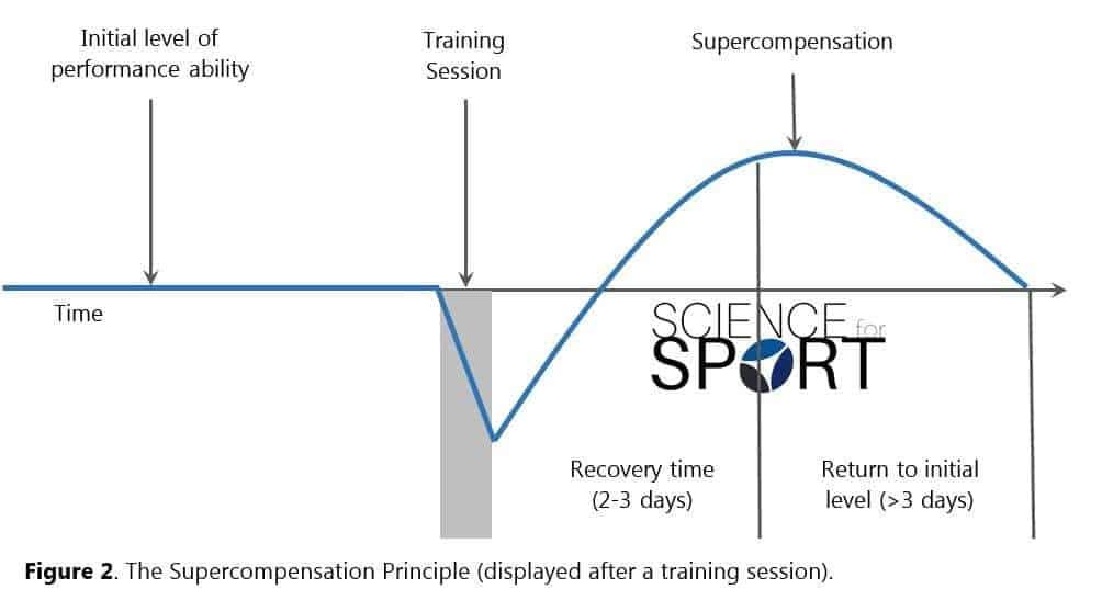 Figure 2 - Supercompensation Principle | Science for Sport