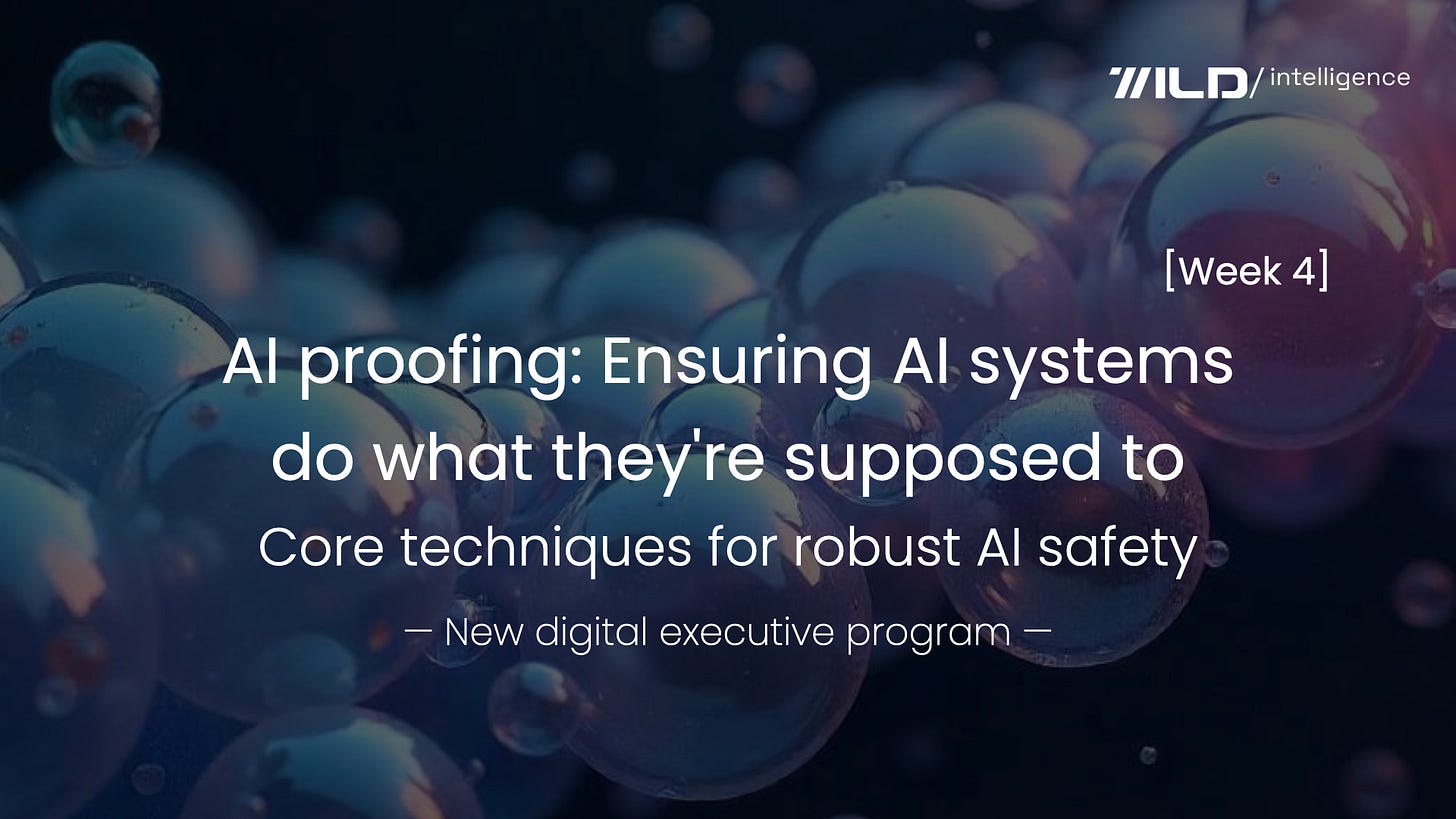 🚀 AI proofing: Ensuring AI systems do what they're supposed to [Week 4] | Core techniques for robust AI safety | A 12-week executive master program for busy leaders