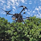 Is AgTech the right tech for Macadamia farming?