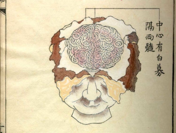 An Anatomical Atlas of the 18th Century / Pen ペン An Anatomical Atlas of the 18th Century / Pen ペン