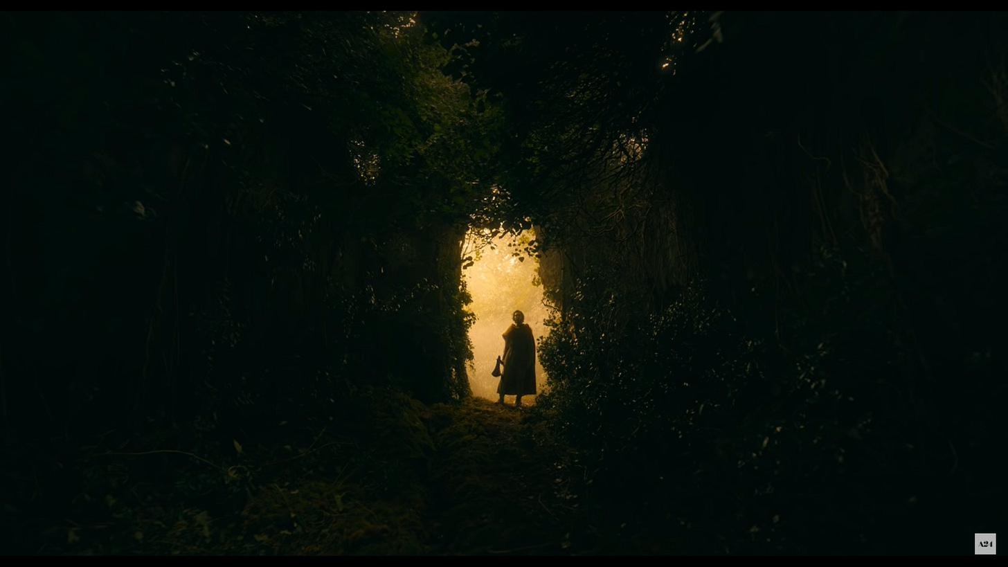 The Green Knight [Discussion] : r/A24