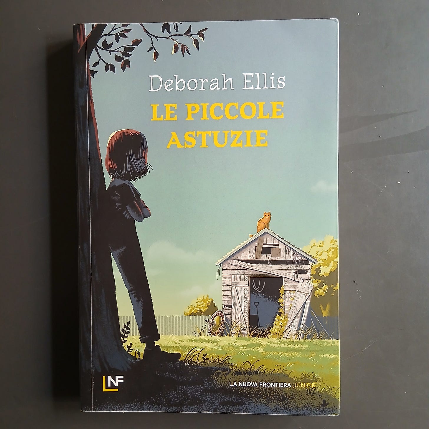 Le piccole astuzie di Deborah Ellis, La Nuova Frontiera junior, 2024.