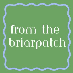 The Briarpatch 