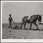 What is American Food?: Spilled Milk #359