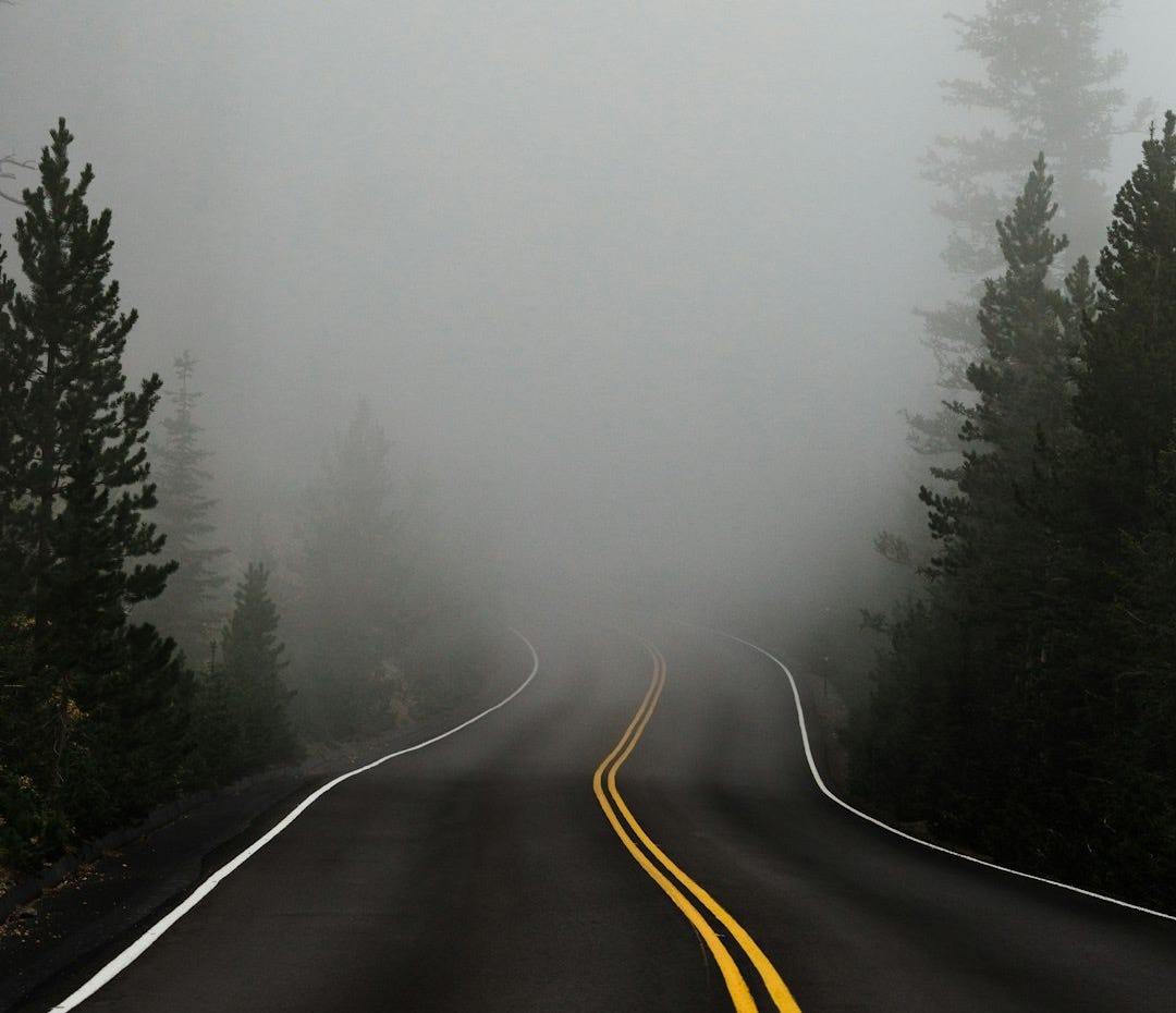 empty road surrounded with trees with fog