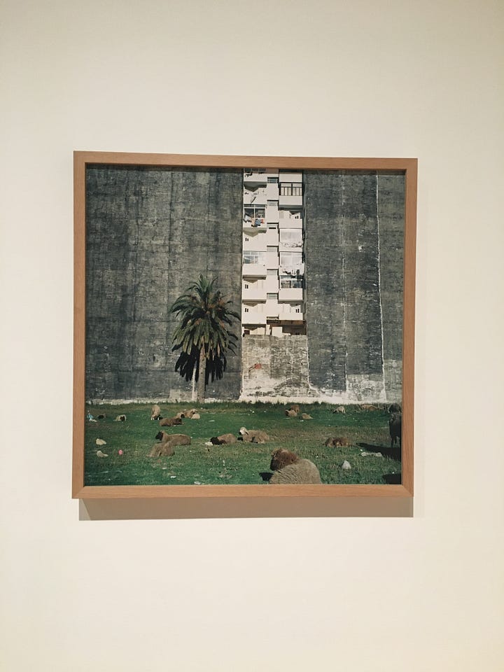 Kirsten Everberg — White Birch Grove, South (After Tarkovsky) [2008] / Yto Barrada — Terrain Vague - Tanger (Vacant Lot - Tangier) [2001].