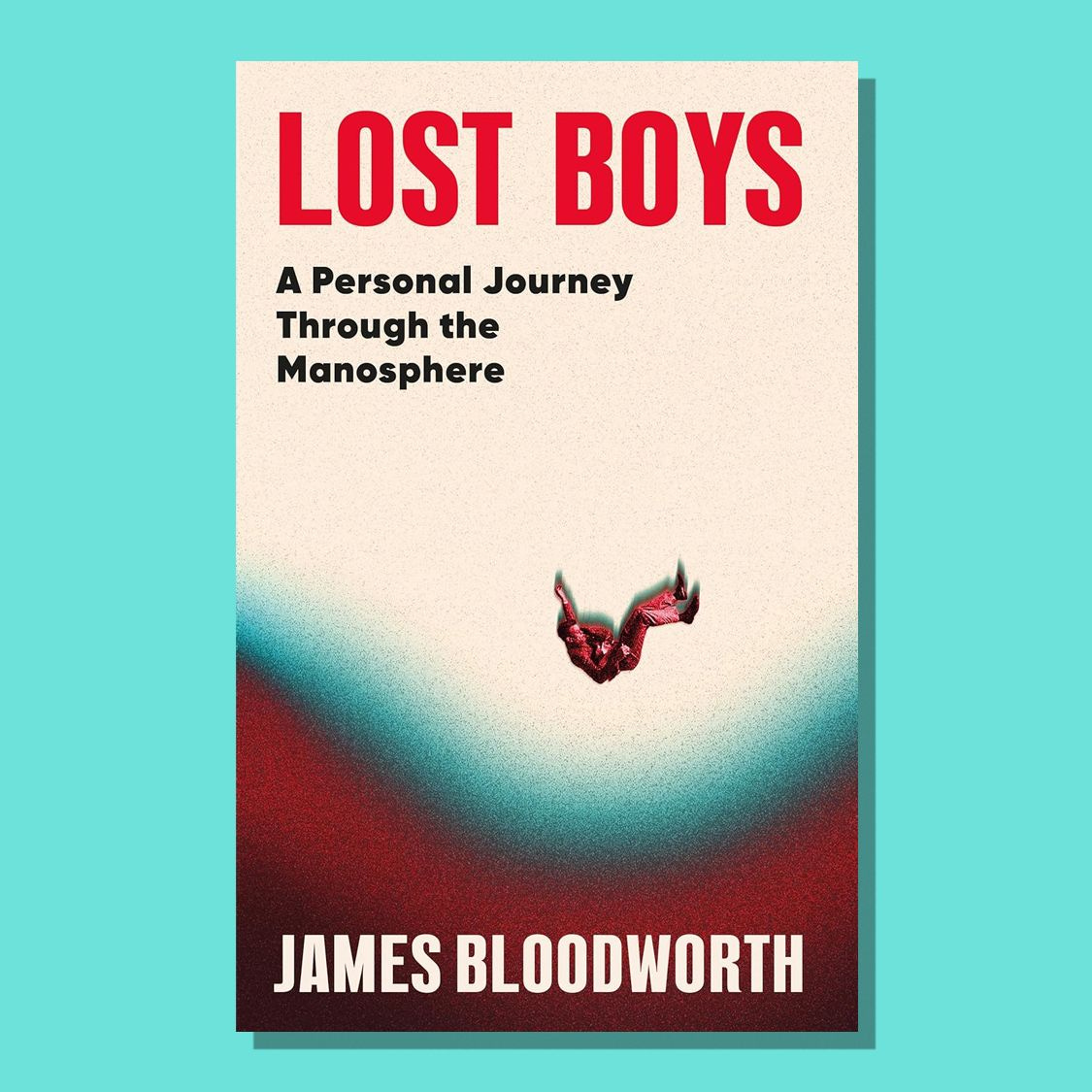 Lost Boys: a 'sobering' journey to the heart of the manosphere | The Week