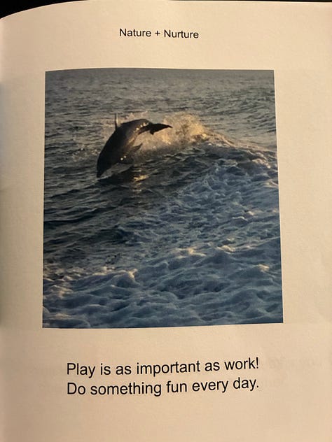 Photos of a dolphin, sawfish, small red flowers, a rabbit, a tiger, and a sunset.