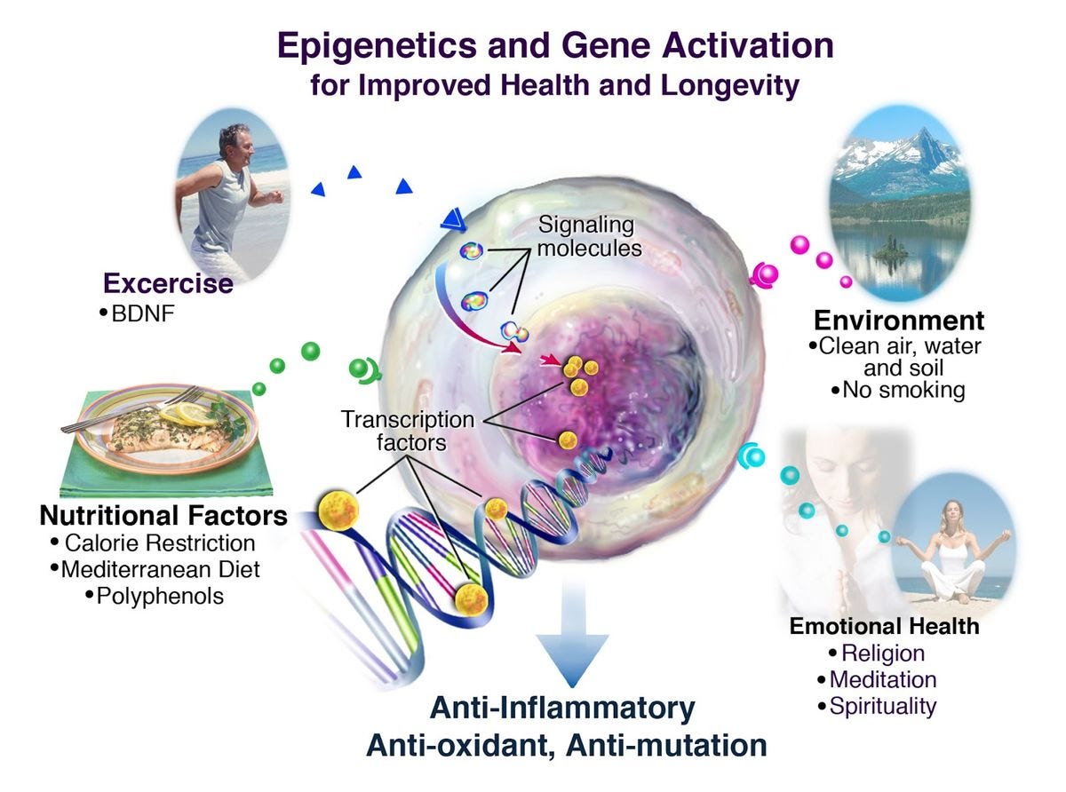 Wisdom Quarterly: American Buddhist Journal: Epigenetics: disease-free with 90 nutrients
