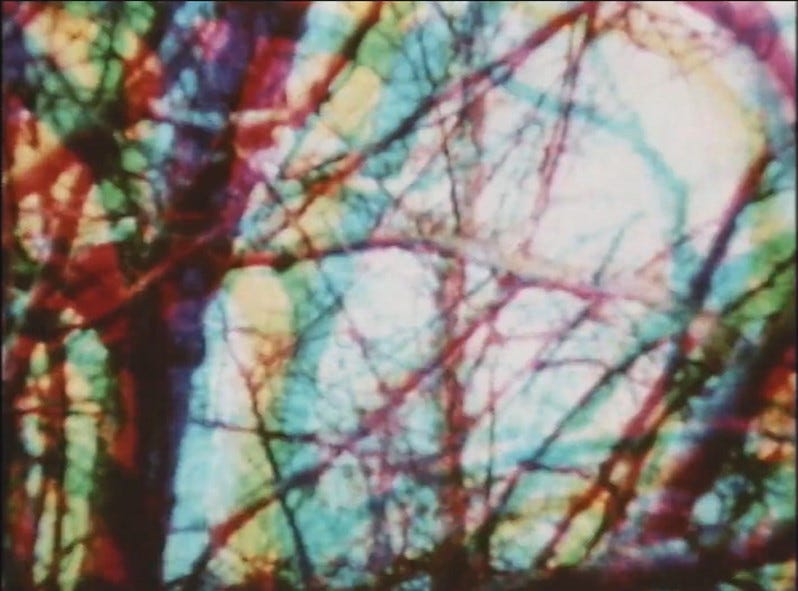 an image from Incantation; shots of a tree overlaid atop one another to create a psychedelic collage of shadow and color