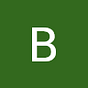 BD's avatar