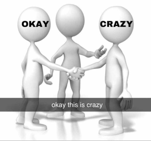 Okay This Is Meme - Okay This is Crazy - Discover & Share GIFs Okay This Is Meme - Okay This is Crazy - Discover & Share GIFs