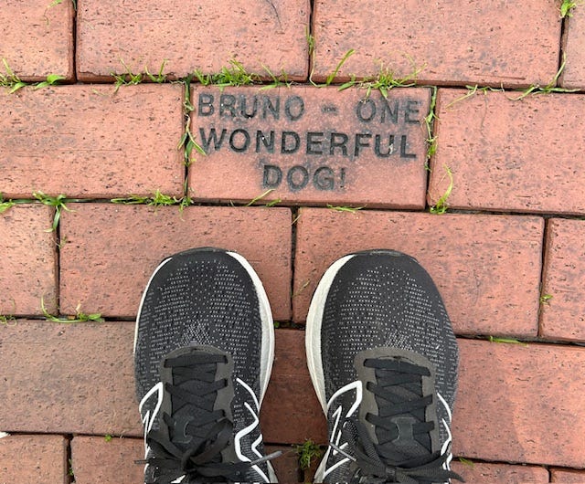 A woman's feet beside a brick path in which one brick is a tribute to a wonderful dog named Bruno