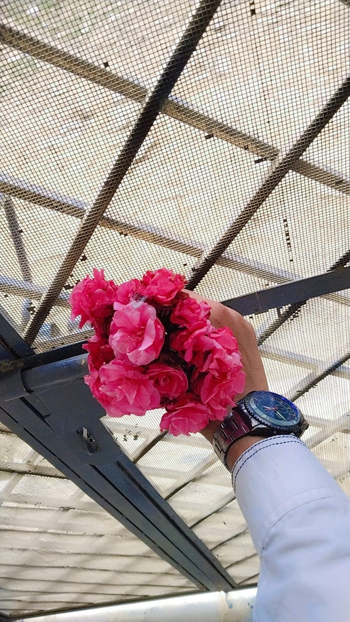 ranazain’s Substack