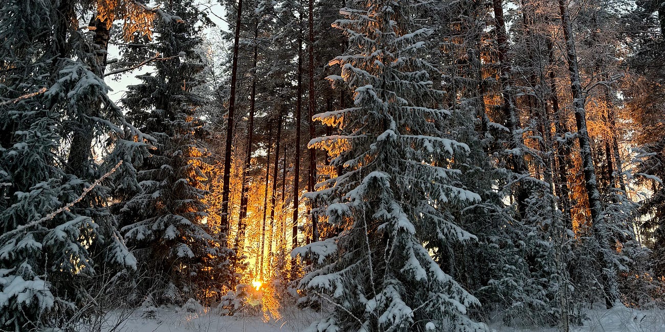 Chasing the Last Sunbeam