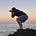 Jeremy Howlett's avatar