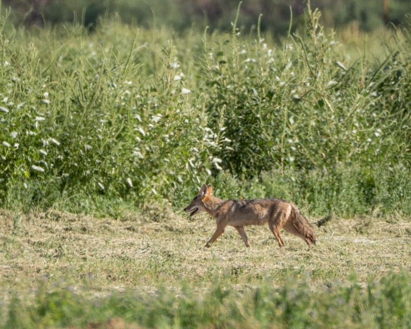 20250908-Manville-526-Edit.jpg 20250908-Manville-526-Edit.jpg