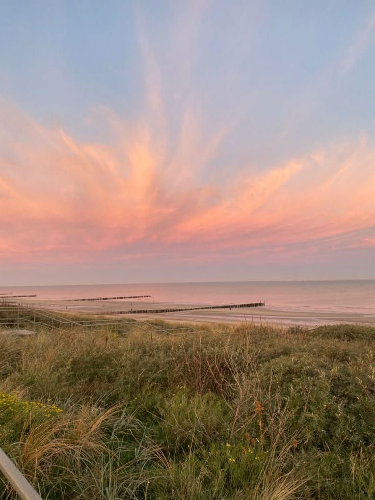 This contains: beach, beach pictures, beach aesthetic, beach photos, sunrise aesthetic, sunrise photography, beach sunrise pictures, beach sunrise aesthetic, beach sunrise wallpaper, beach sunrise photos