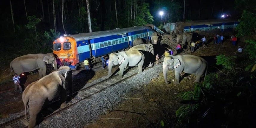 Assam: Rajdhani Express derails after collision with herd, 8 elephants die  on track, one critical - The CSR Journal