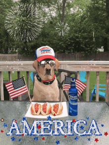 Fourth Of July GIFs | Tenor Fourth Of July GIFs | Tenor