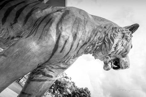 University of Memphis "tigers around town" with paint and image of school fight song