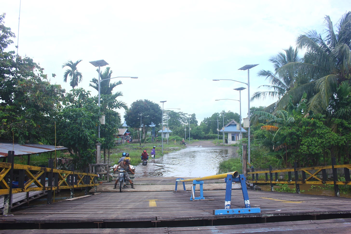 Illustration of Nipah virus spillover risk in South and Southeast Asia, showing Pteropus fruit bats transmitting the virus to humans through ecological disruption, deforestation, and climate stress, highlighting outbreaks in Malaysia, India, and Bangladesh and the growing focus on environmental surveillance and One Health approaches. Illustration of Nipah virus spillover risk in South and Southeast Asia, showing Pteropus fruit bats transmitting the virus to humans through ecological disruption, deforestation, and climate stress, highlighting outbreaks in Malaysia, India, and Bangladesh and the growing focus on environmental surveillance and One Health approaches.