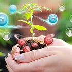 Issue.11 - A Catalyst for Economy