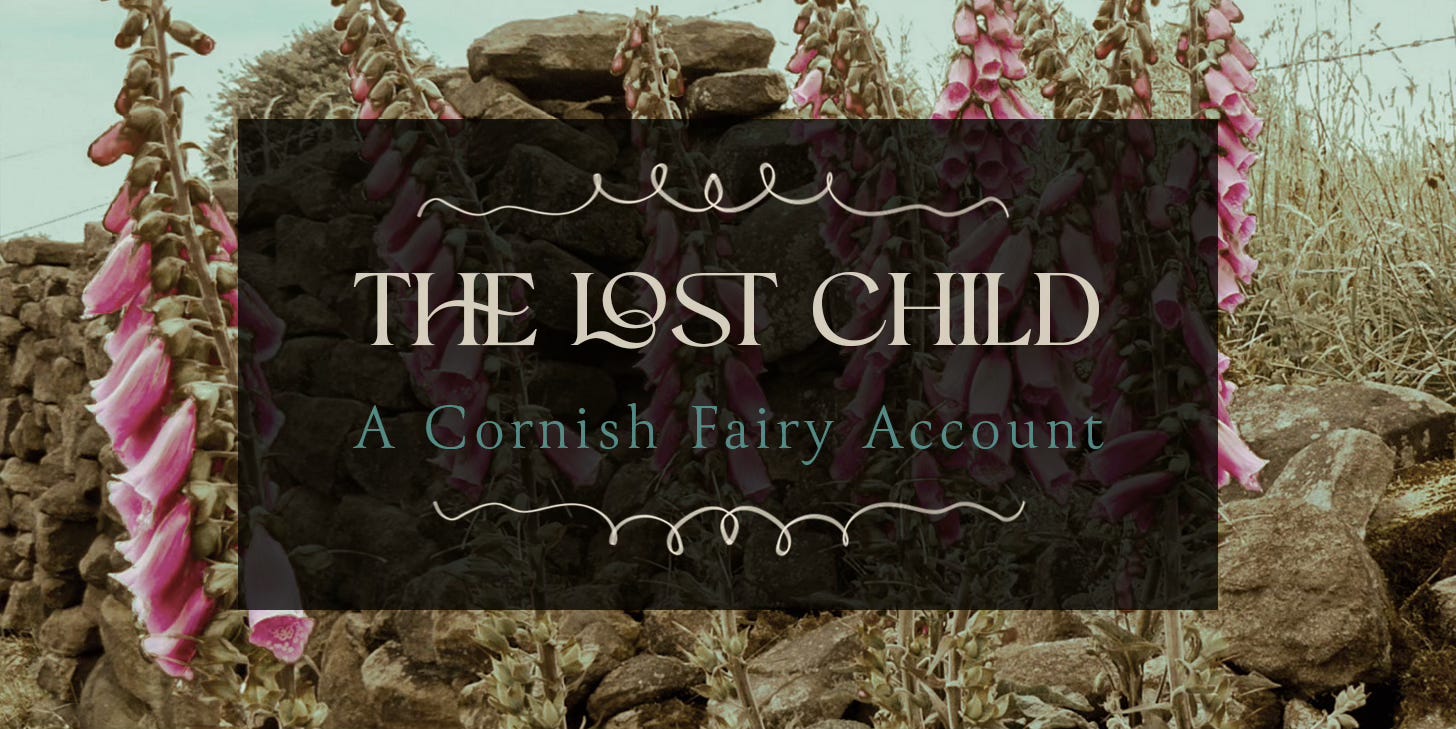 "The Lost Child" — foxgloves on a Cornish hedge "The Lost Child" — foxgloves on a Cornish hedge
