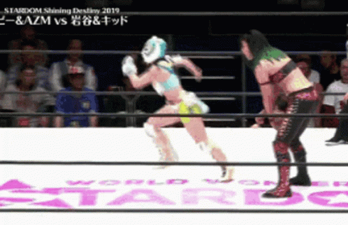 two women are wrestling in a ring that says stardom on it