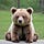 The Smol Bear Review 
