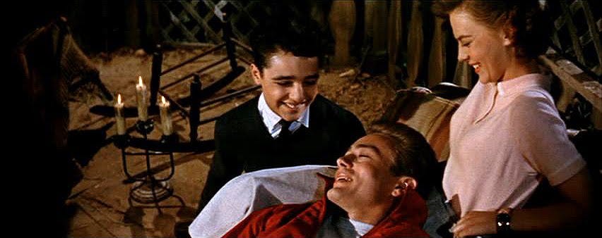 26. Rebel without a Cause | Wonders in the Dark