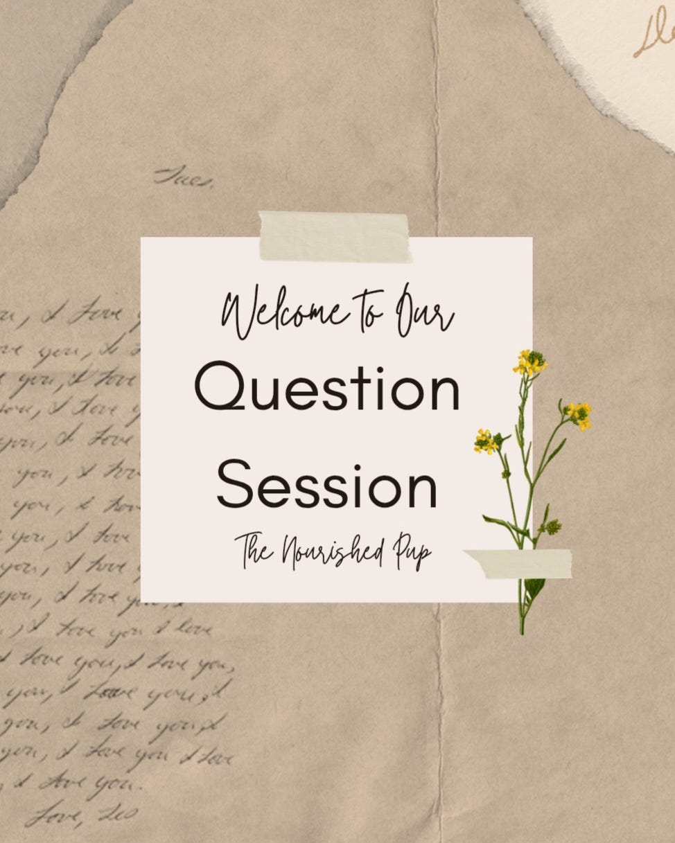 It's Question Session Time! - The Nourished Pup