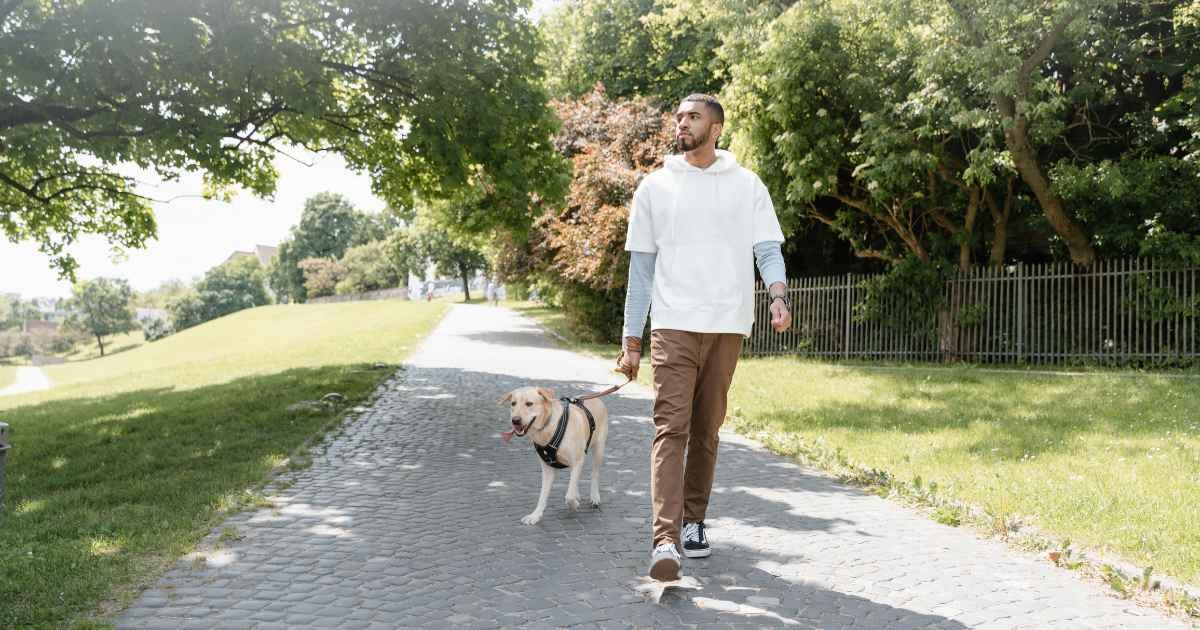 Man walking a dog outside