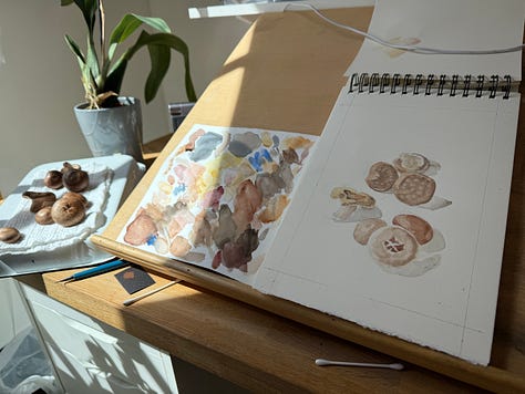 Progression photos of a drawing of shiitake mushrooms