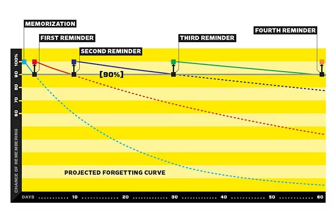 Graph showing memorization and forgetting curve with four reminder intervals over sixty days.