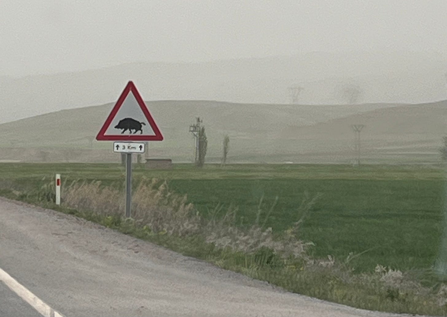 Wild boar crossing sign in Kapadokya, Turkey