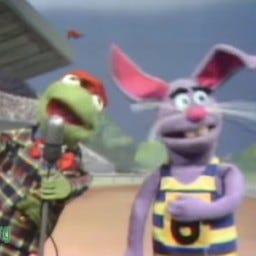 Reports From the Rabbit Hole