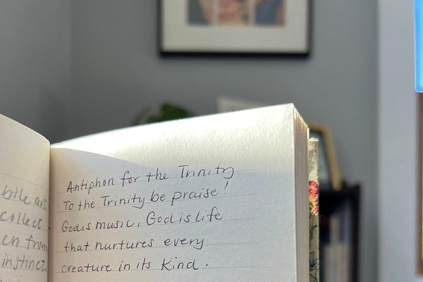 This Gentle Light | Elizabeth | Substack
