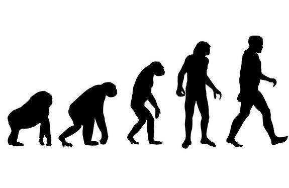 Human Evolution Meme Generator