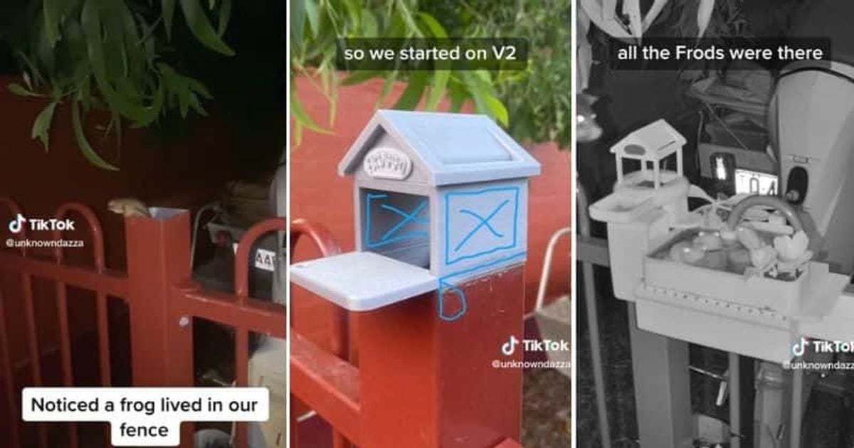 Man surprises frog living in his fence with innovative structure