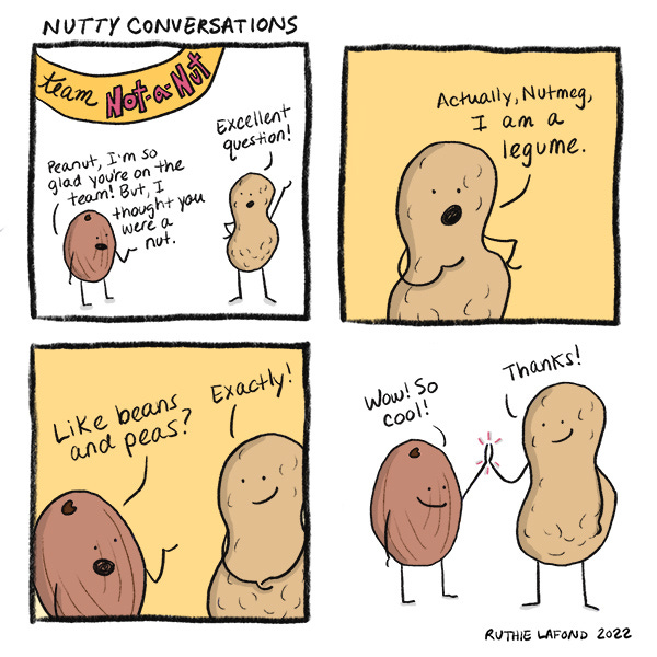 A nutmeg and a peanut stand under a banner that reads, “Team Not-A-Nut.” The nutmeg says they are happy to have the peanut but asks if they are not a nut. The peanut explains they are actually a legume. The nutmeg says like a bean. The peanut says, “Yes.” They high-five and nutmeg says, “So cool.” The peanut says, “Thanks.”