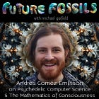 👾🍄🧮 222 - Andrés Goméz Emilsson on Psychedelic Computer Science & The Mathematics of Consciousness