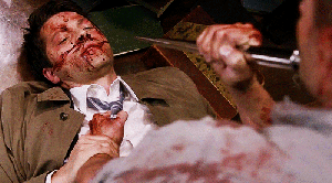 gif mooseleys gif mooseleys