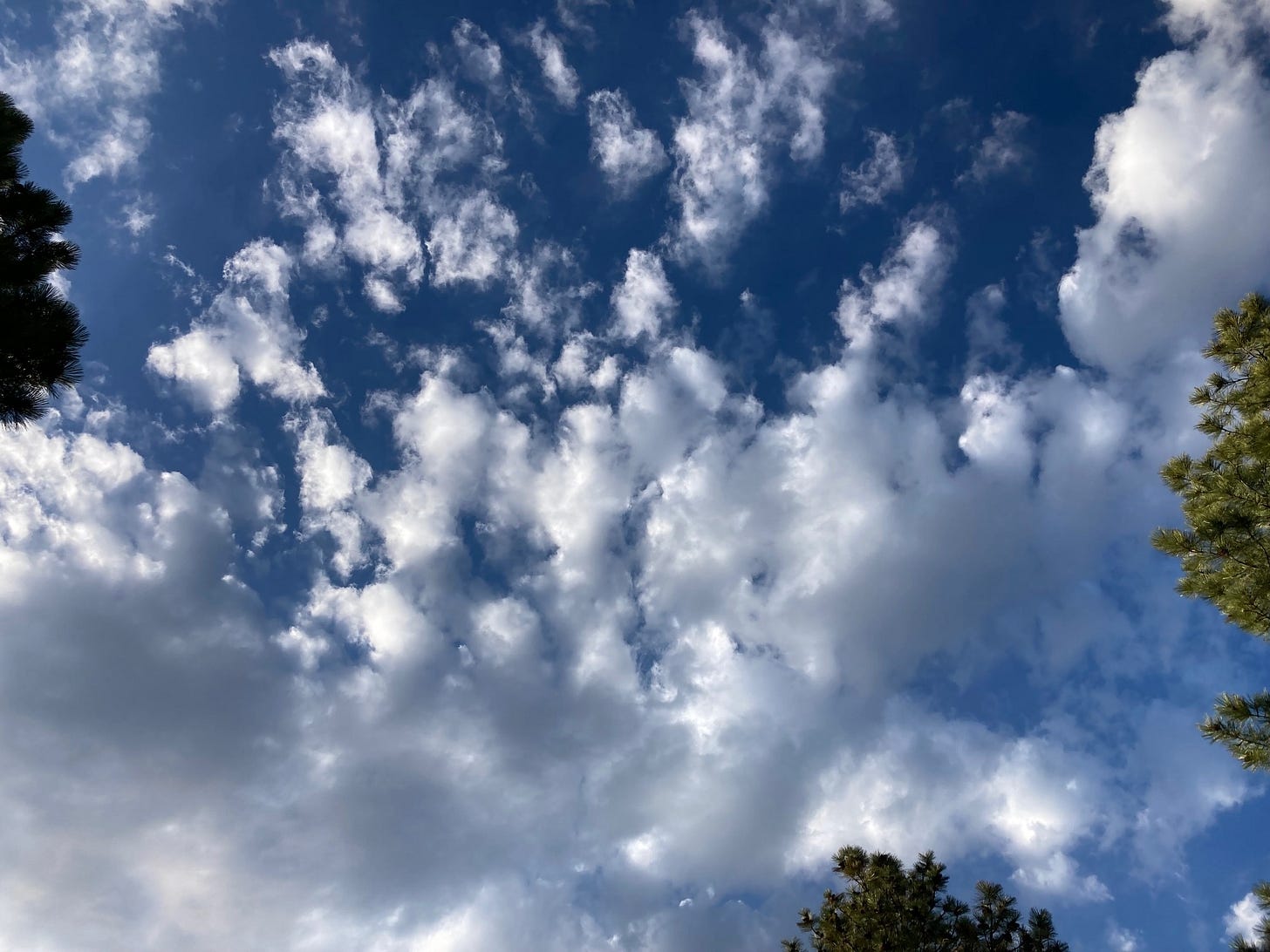 Afternoon Clouds, 2026-05-11