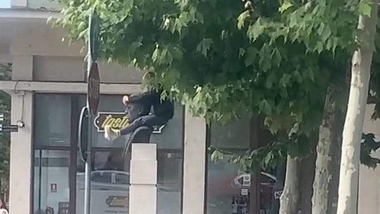 Tânăr urcând pe o statuie din centrul Clujului, acoperit de frunzișul unui copac, într-un incident care a atras atenția trecătorilor.